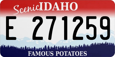 ID license plate E271259