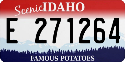 ID license plate E271264