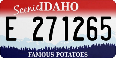 ID license plate E271265