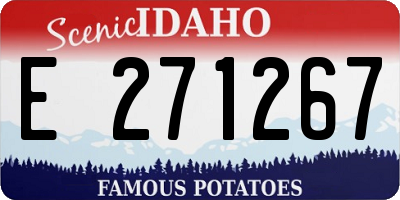 ID license plate E271267