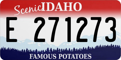 ID license plate E271273
