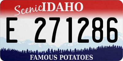 ID license plate E271286