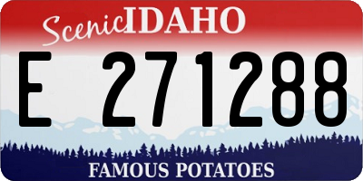 ID license plate E271288