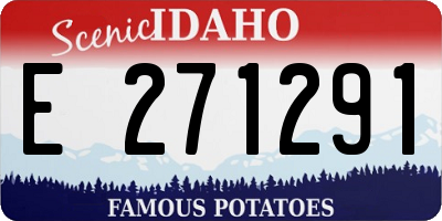 ID license plate E271291