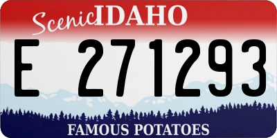 ID license plate E271293