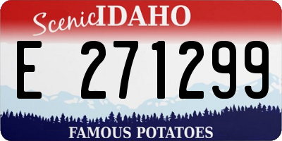 ID license plate E271299