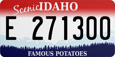 ID license plate E271300