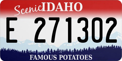 ID license plate E271302