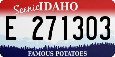 ID license plate E271303