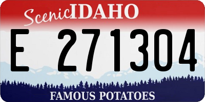 ID license plate E271304