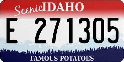 ID license plate E271305