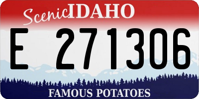ID license plate E271306
