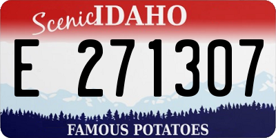 ID license plate E271307