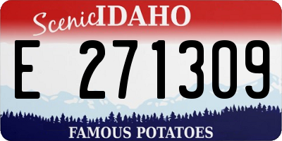 ID license plate E271309