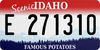 ID license plate E271310