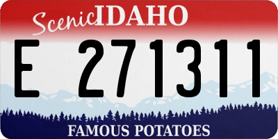 ID license plate E271311
