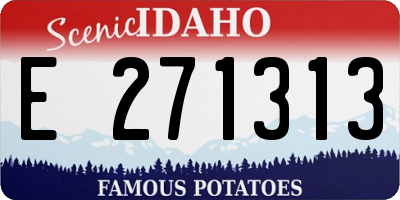 ID license plate E271313