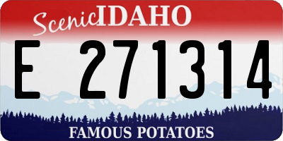 ID license plate E271314