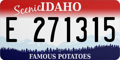 ID license plate E271315