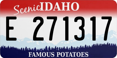 ID license plate E271317