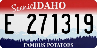 ID license plate E271319