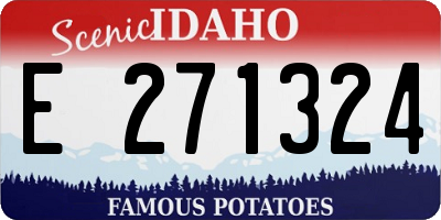 ID license plate E271324