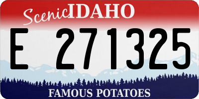 ID license plate E271325