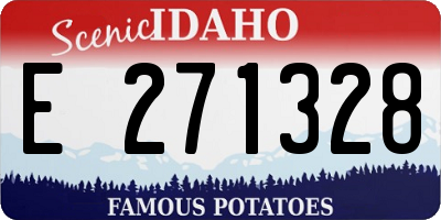 ID license plate E271328