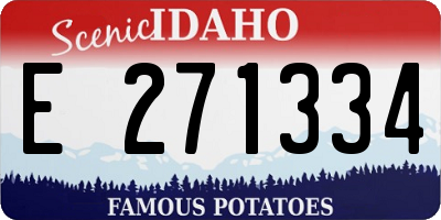 ID license plate E271334