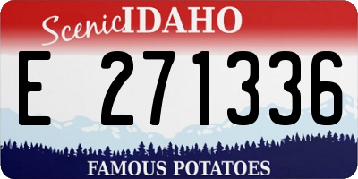 ID license plate E271336