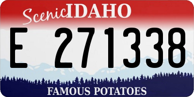 ID license plate E271338