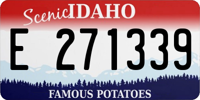 ID license plate E271339