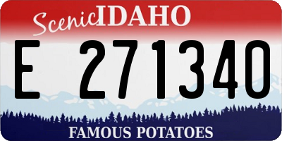 ID license plate E271340