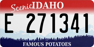 ID license plate E271341