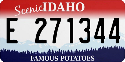ID license plate E271344