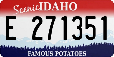 ID license plate E271351