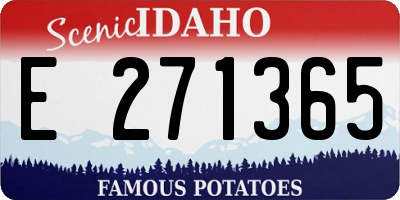 ID license plate E271365