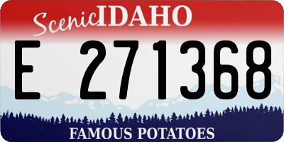 ID license plate E271368