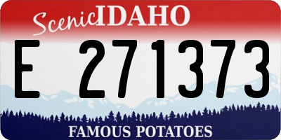ID license plate E271373