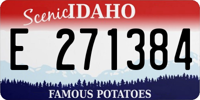 ID license plate E271384