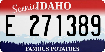 ID license plate E271389