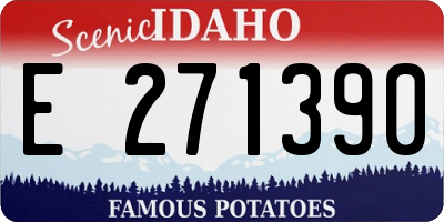 ID license plate E271390