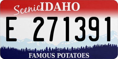 ID license plate E271391