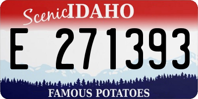 ID license plate E271393