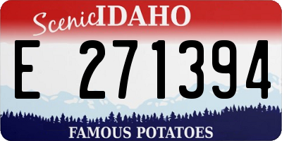 ID license plate E271394