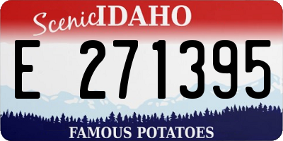 ID license plate E271395
