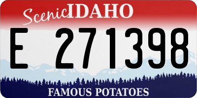 ID license plate E271398