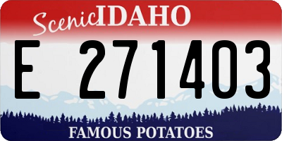 ID license plate E271403