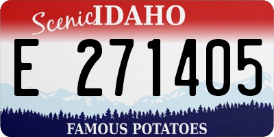 ID license plate E271405
