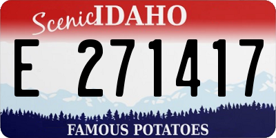 ID license plate E271417